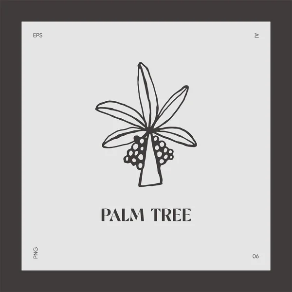 Logotipo de palmeira desenhada à mão vetor coco — Vetor de Stock