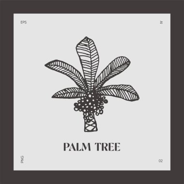 El çizimi palmiye ağacı logosu Coco vektörü