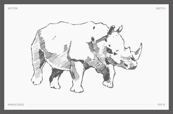 Детальний намальований вектор реалістичного ескізу носорога — стоковий вектор