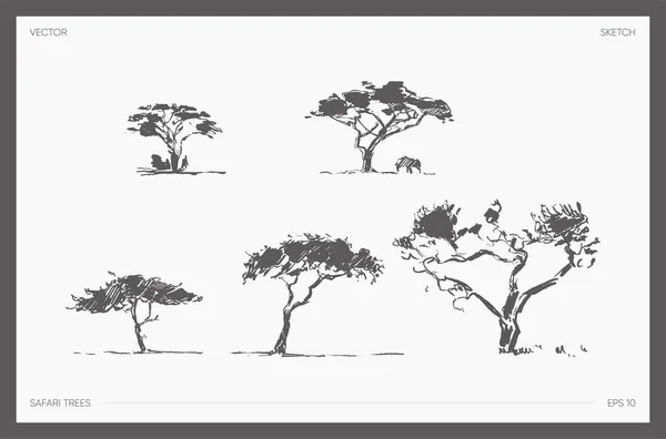 Set of detail hand drawn vector safari tree acacia — Stock Vector