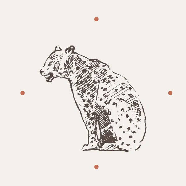 Ilustração realista do leopardo. Desenhei um vetor — Vetor de Stock