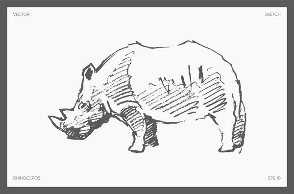Dettaglio disegnato vettore di rinoceronte realistico uno schizzo — Vettoriale Stock