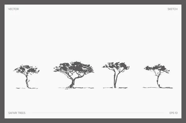 Set of detail hand drawn vector safari tree acacia — Stock Vector