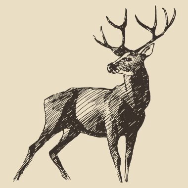 hand drawn deer sketch clipart