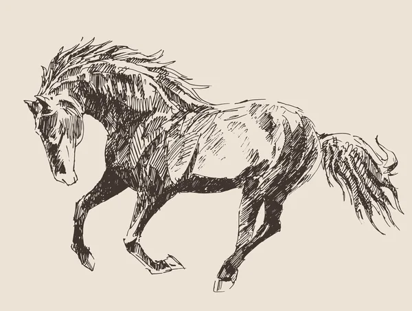 Croquis de cheval dessiné à la main — Image vectorielle