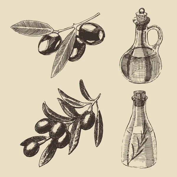 Κλαδιά ελιάς και μπουκάλια — Διανυσματικό Αρχείο