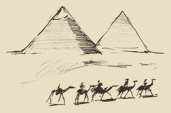 Piramidi al Cairo con cammelli — Vettoriale Stock