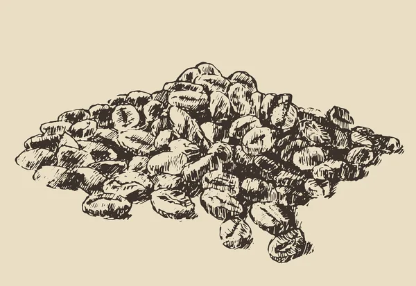 Ручні намальовані кавові зерна — стоковий вектор