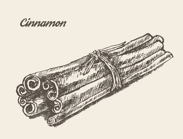 Schizzo di cannella disegnato a mano — Vettoriale Stock