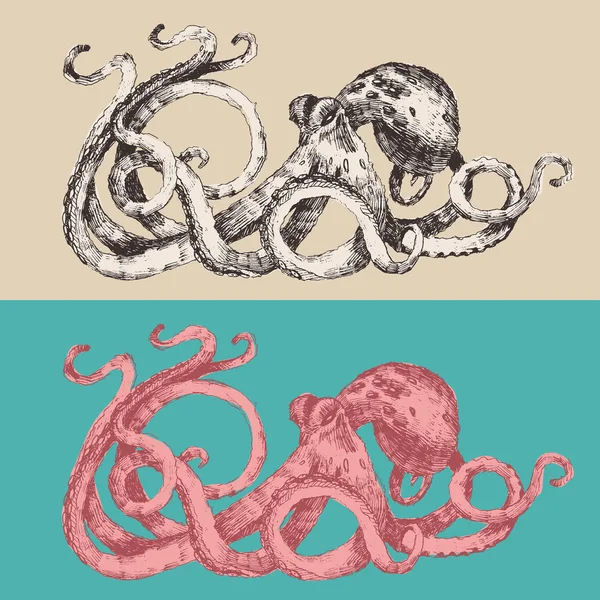 Dibujo dibujado a mano de Octopus — Vector de stock