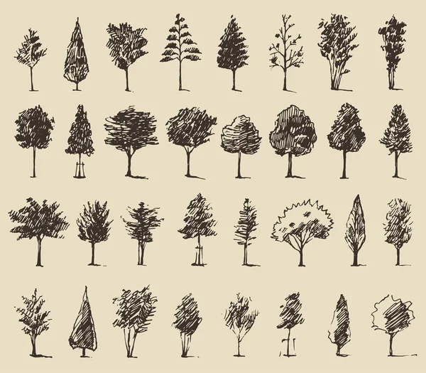 Bomen schets set, — Stockvector