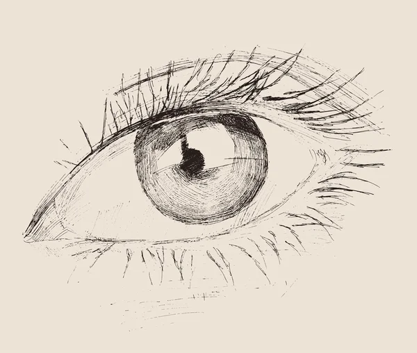 Ручной эскиз глаза — стоковый вектор