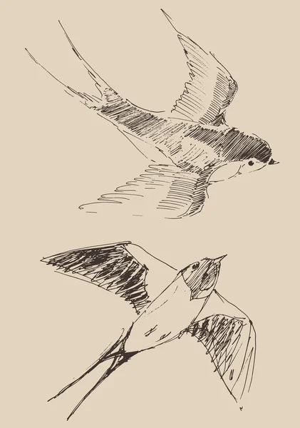 Fliegende Vögel gesetzt — Stockvektor