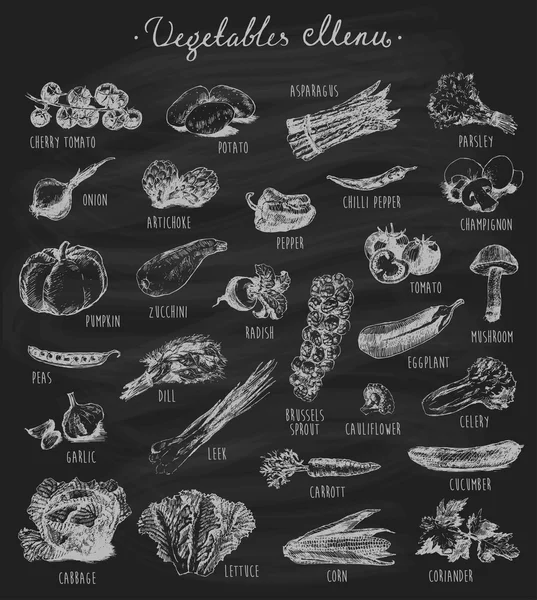 Колекція намальованих вручну овочів — стоковий вектор