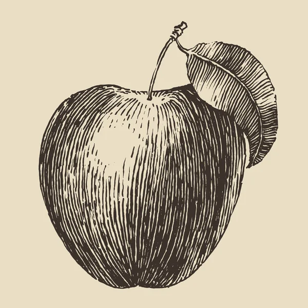 Hand dras apple skiss — Stock vektor