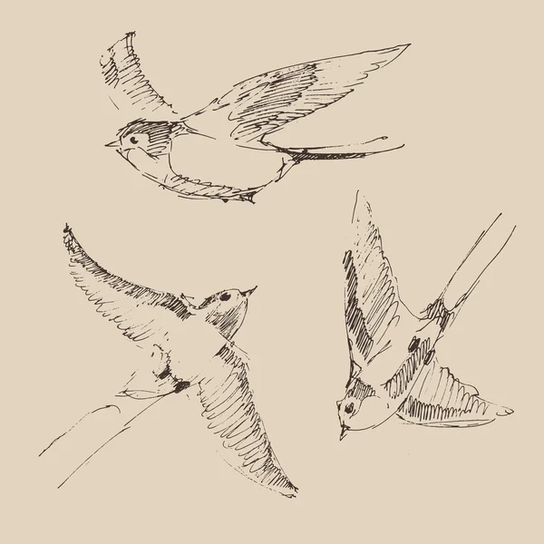 Aves voadoras conjunto — Vetor de Stock