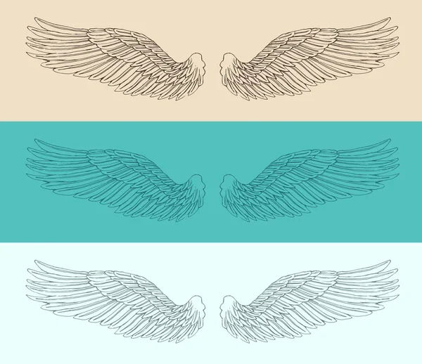 天使の翼セット — ストックベクタ