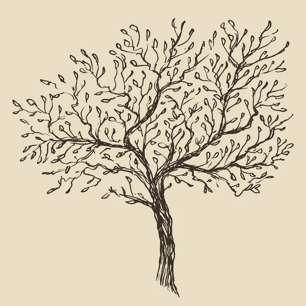 Croquis d'arbre dessiné à la main — Image vectorielle