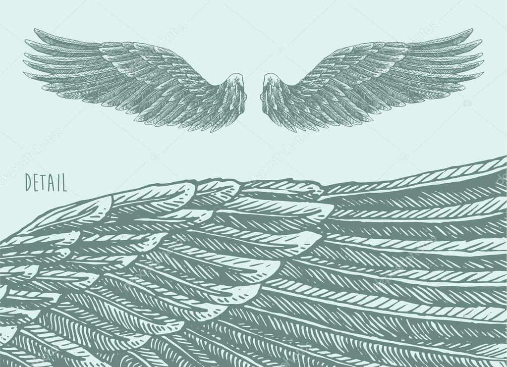 Angel wings sketch