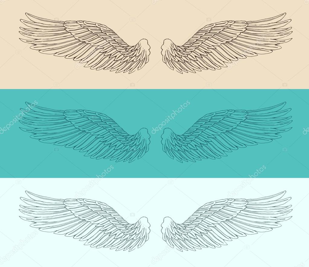 Angel wings set