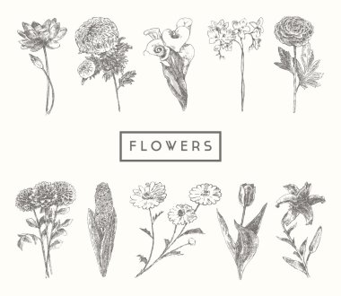 Son moda koleksiyonu el çekilmiş çiçek çiçek kümesi