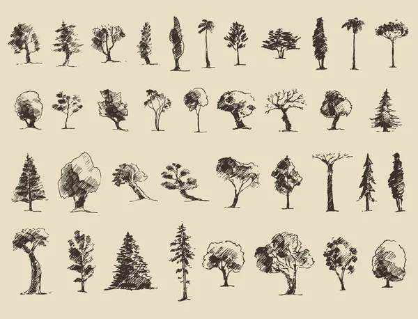 Trees sketch set, vintage vector style, hand drawn — Stock Vector