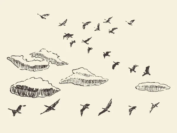 Aves voladoras dibujadas a mano cielo nubes migratorias — Vector de stock