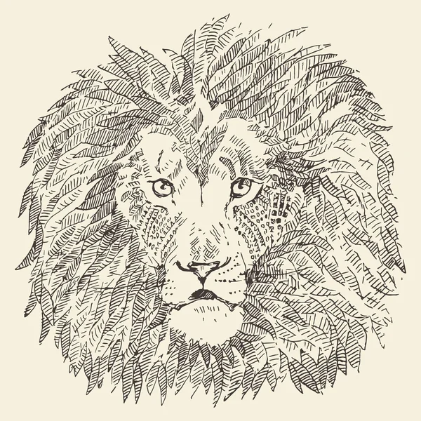 ライオン ヘッド エスニック風イラスト描きのスケッチ — ストックベクタ