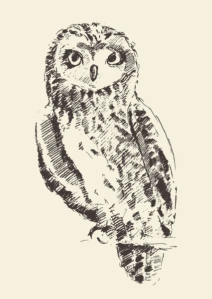 Hibou illustration vintage rétro croquis dessiné à la main — Image vectorielle