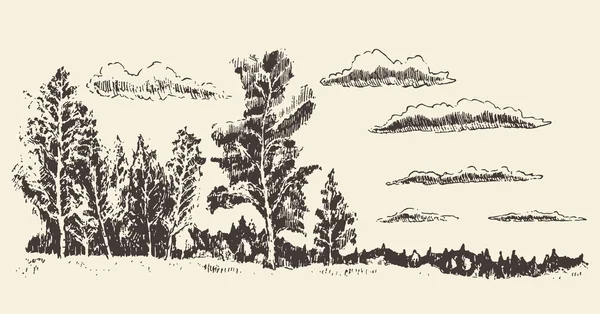 Mão desenhada paisagem floresta prado nuvens vetor —  Vetores de Stock