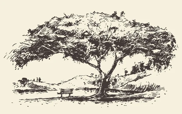 Albero romantico con disegno disegnato panca — Vettoriale Stock