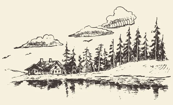 家描かれたモミ森林牧草地の不動産スケッチ — ストックベクタ