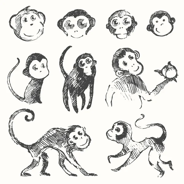 設定面白い猿新年中国描かれたスケッチ — ストックベクタ