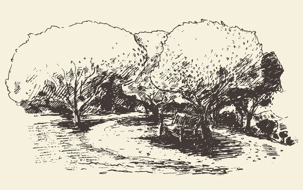 Arbre romantique avec banc dessiné croquis — Image vectorielle