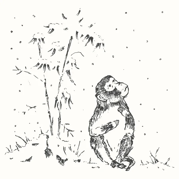 Číňané opice sníh nový rok tažené skica — Stockový vektor