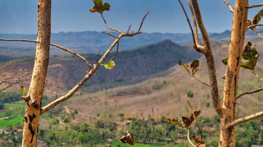 Arka plan olarak Semeru Dağı olan Villa 'nın Yan Manzarası