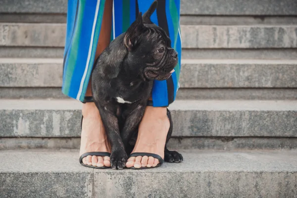 Чорний французький бульдог цуценя, сидячи на сходах між жіночої ніжкою — стокове фото