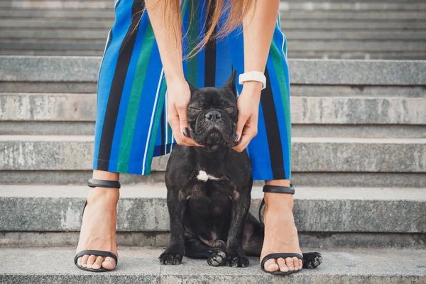 Kadın bacaklarının arasına merdivenlerde oturan siyah Fransız bulldog köpek yavrusu — Stok fotoğraf