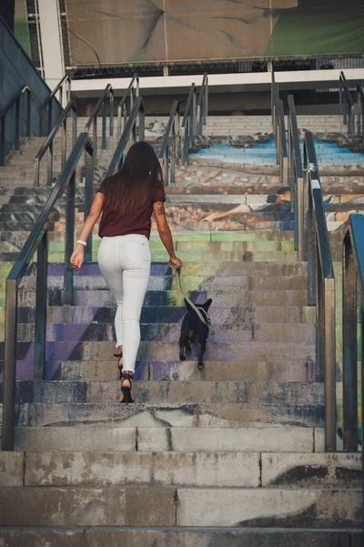 Belle femme avec bouledogue noir français chiot dans les escaliers — Photo