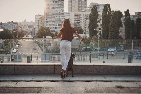 Вид сзади женщины с французским бульдогом в городе — стоковое фото