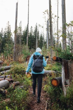 Sırt çantalı kadın turistin Karpatlar, Ukrayna 'daki köknar ormanlarında yürüyüşünün arkası.