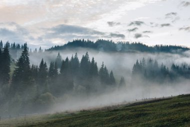 Alacakaranlıkta Karpat dağlarında güzel sisli bir manzara.