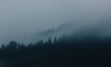 Alacakaranlıkta Karpat dağlarında güzel sisli bir manzara.