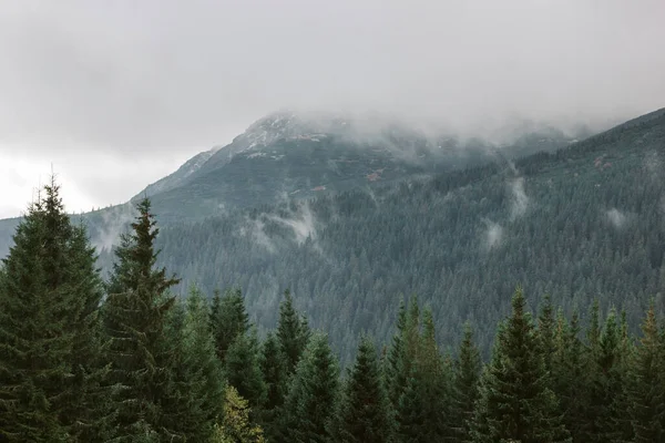 Prachtig Landschap Karpaten — Stockfoto