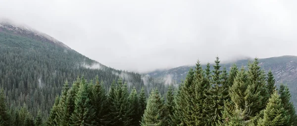 Prachtig Landschap Karpaten — Stockfoto