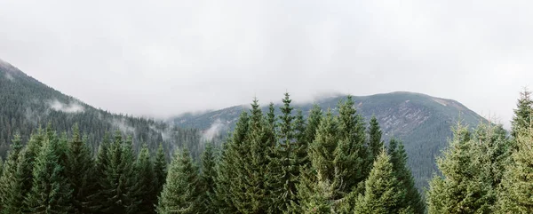 喀尔巴阡山脉美丽的风景 — 图库照片