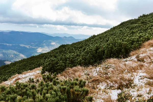 Bela Paisagem Nevada Nas Montanhas Dos Cárpatos — Fotografia de Stock