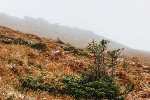 Bela Paisagem Montanhosa Nos Cárpatos — Fotografia de Stock