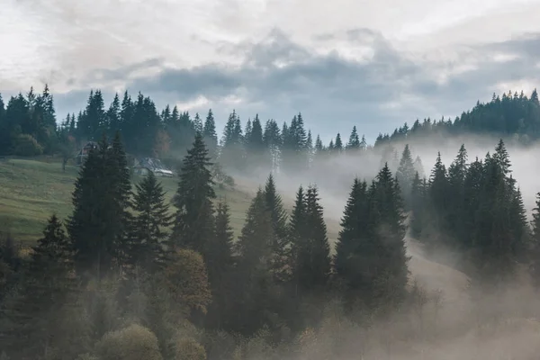 喀尔巴阡山脉美丽的薄雾般的风景 — 图库照片