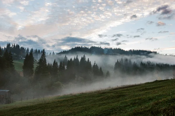 Alacakaranlıkta Karpat Dağlarında Güzel Sisli Bir Manzara — Stok fotoğraf